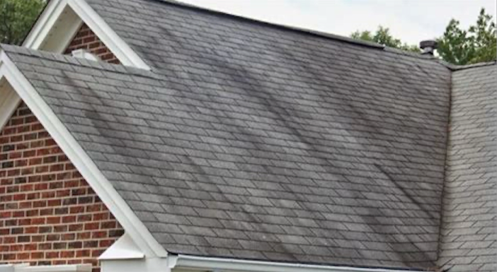 What Are Those Black Streaks on Your Roof?